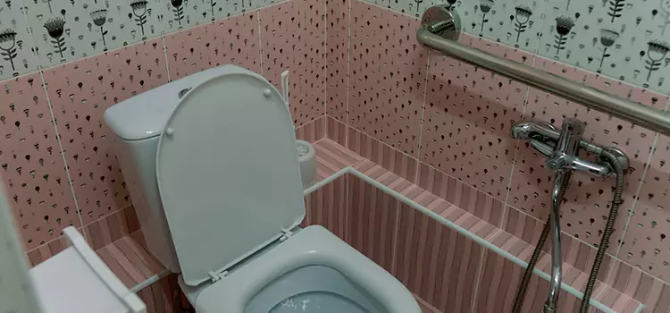 Meeting Diverse Needs With Accessible Restroom Solutions in Camp Springs, MD