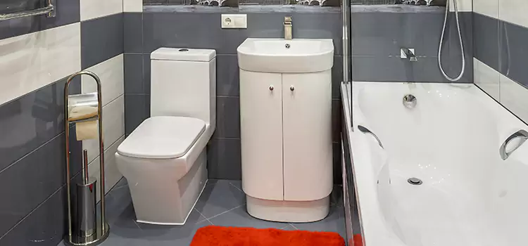 Hansgrohe Shaving Mirror Camp Springs